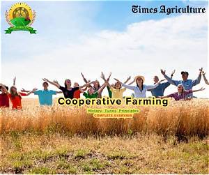 The Impact of Cooperative Farming Societies in the Development of Agriculture