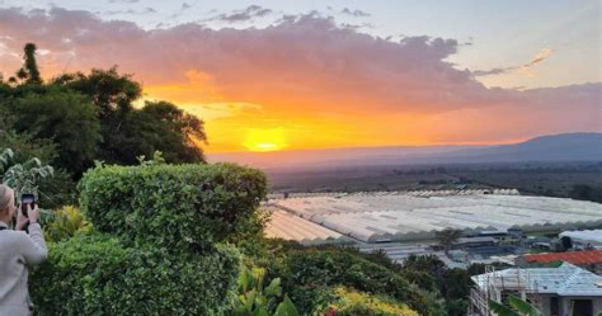 The Pot at Panda, Naivasha, Kenya