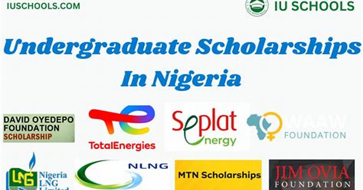 Undergraduate Scholarships for Nigerian Students