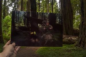 Was Star Wars Filmed in Muir Woods