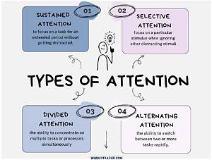 What Are the 4 Types of Attention Getters