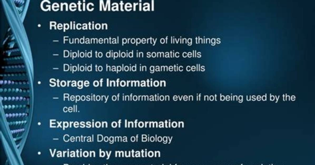 What Are the Four Characteristics of Dna