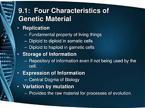 What Are the Four Characteristics of Dna