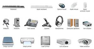 What Are the Hardware and Peripheral Devices