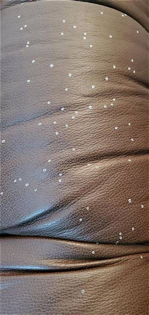 What Causes White Spots on Leather Furniture