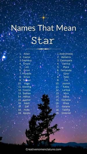 What Do We Mean by a Stars Spectral Type