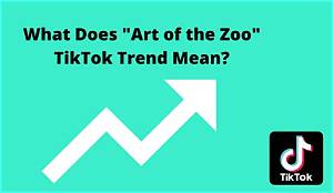 What Does Art of the Zoo Tiktok Mean? Explained