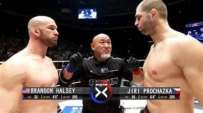 What Does Jiri Prochazka Without Beard Looks Like? His Hairstyle and Face Structure Explained