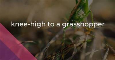 What Does Knee High to a Grasshopper Mean