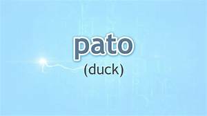 What Does Pato Mean in Mexico