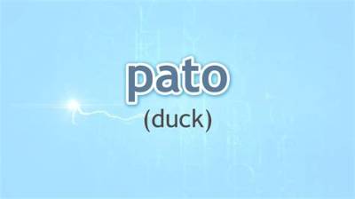 What Does Pato Mean in Mexico
