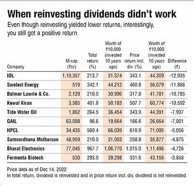 What Does Reinvest Dividends Mean