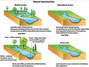 What Does River Channel Mean