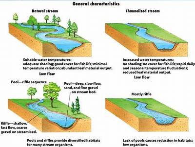 What Does River Channel Mean