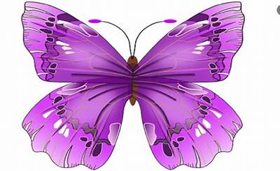 What Does the Purple Butterfly Meme Mean Explained?