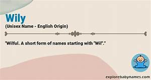 What Does Wily Mean