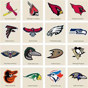 What Football Team Has a Bird Logo