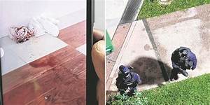 What Happened to Louie Tagaloa? Man Stabbed to Death Full Video on Reddit
