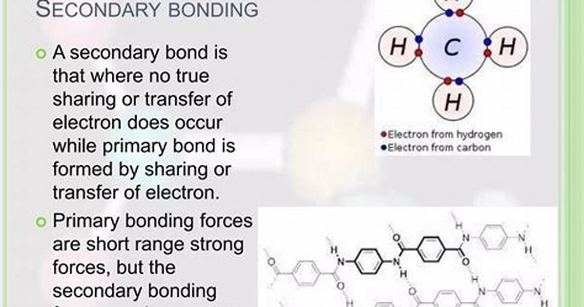 What Is a Primary Bonding