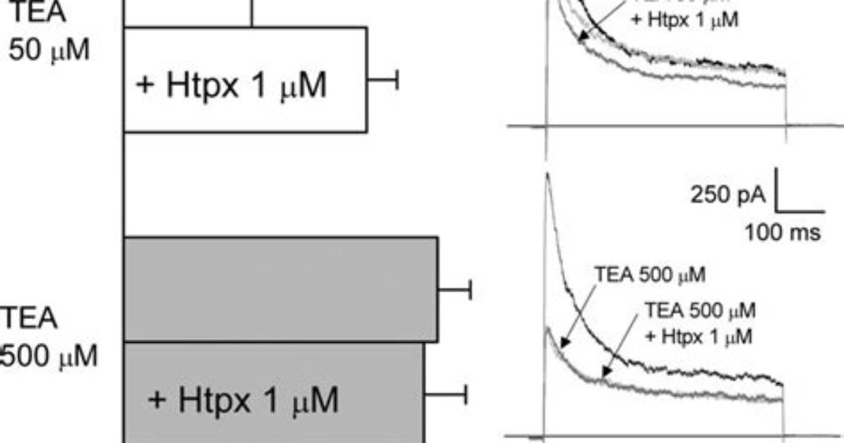 What Is Hptx