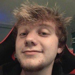 What Is Punz’s Age? How Old Is the Twitch Streamer