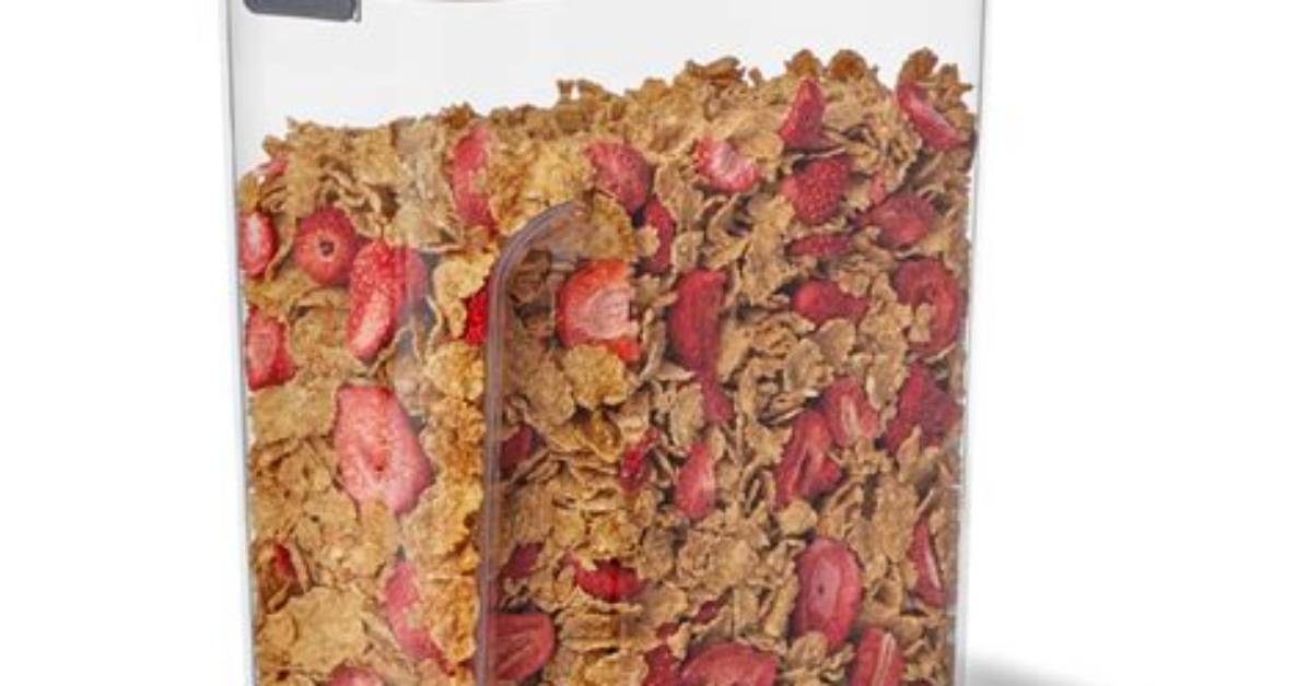 What Is the Best Cereal Container