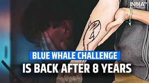 What Is the Blue Whale Challenge Tiktok – Trend by Jonathan Galindo