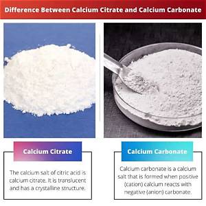 What Is the Difference Between Calcium Citrate and Calcium Carbonate