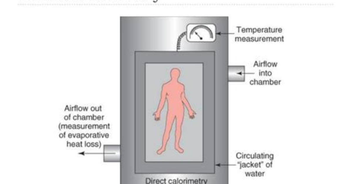 What Is the Difference Between Direct Calorimetry and Indirect Calorimetry