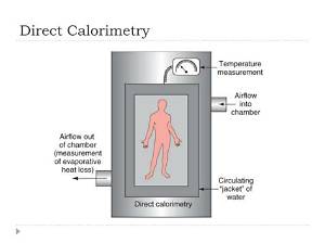 What Is the Difference Between Direct Calorimetry and Indirect Calorimetry