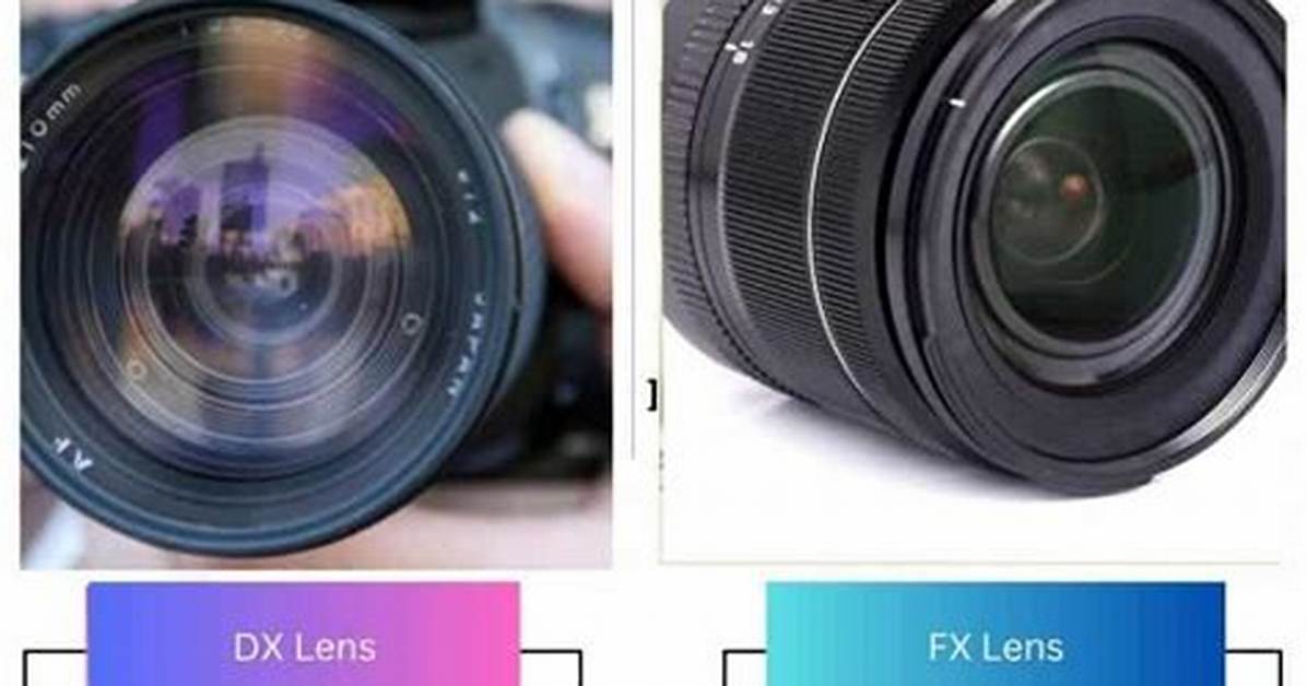 What Is the Difference Between Dx Format and Fx Format