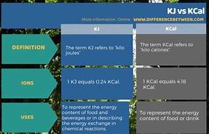 What Is the Difference Between Kcal and Cal