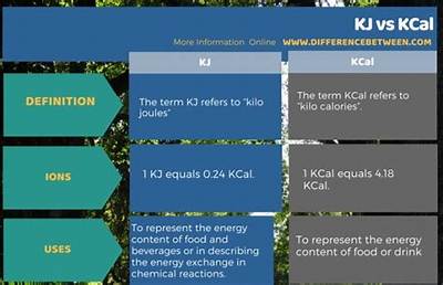 What Is the Difference Between Kcal and Cal