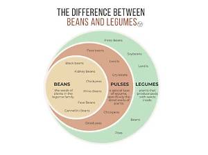 What Is the Difference Between Legumes and Lentils