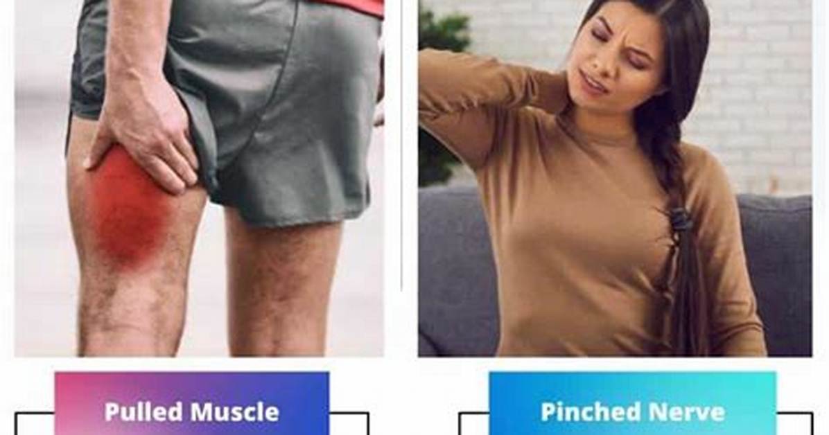 What Is the Difference Between Pinched Nerve and Pulled Muscle