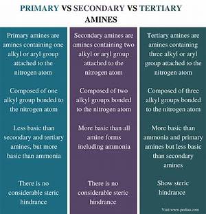 What Is the Difference Between Primary and Secondary Alcohol