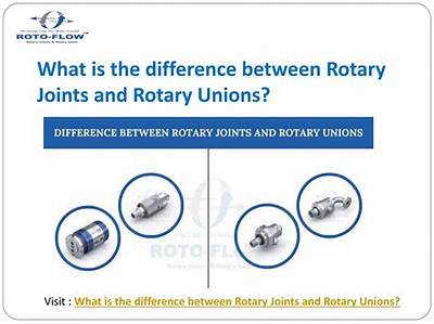 What Is the Difference Between Rotary and Lions Clubs
