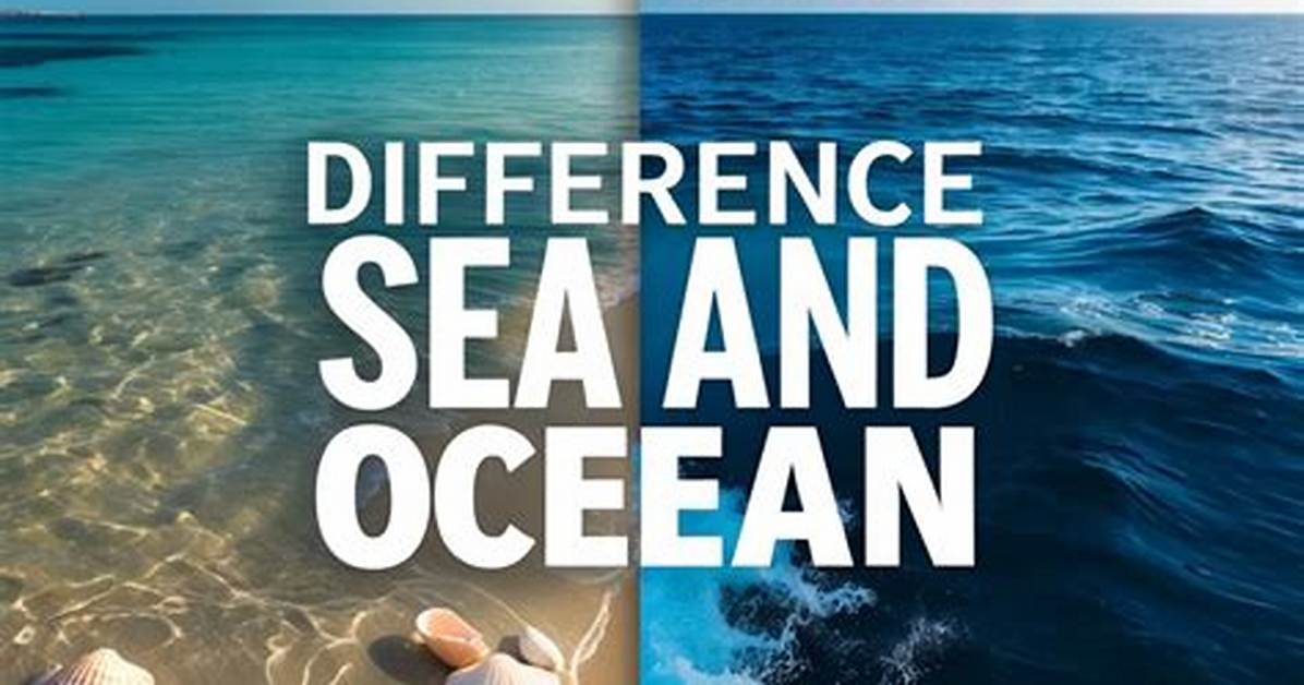 What Is the Difference Between Sea and Lake