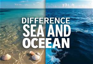 What Is the Difference Between Sea and Lake