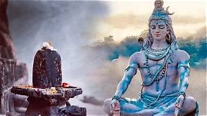 What Is the Difference Between Shiv and Shank