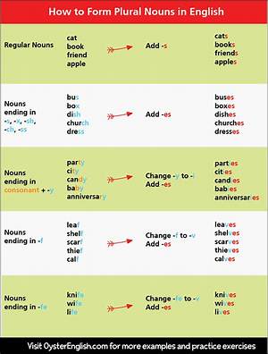 What Is the Plural Form of the Word Syllabus
