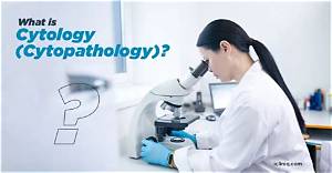 What Is the Study of Cytology