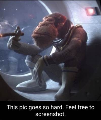 What Is This Pic Goes Hard Meme? Meaning and Trend Explained