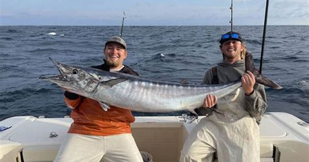 What's Wahoo Fish in Outer Banks Season 3?