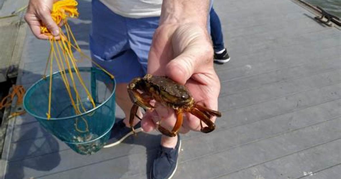 Where Can I Go Crabbing in Galveston