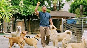 Where Does Cesar Millan Live Now