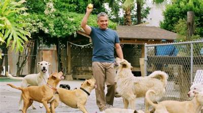 Where Does Cesar Millan Live Now