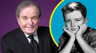 Where Is Jerry Mathers? Meet Leave It to Beaver Actor Wife Teresa Modnick and Children
