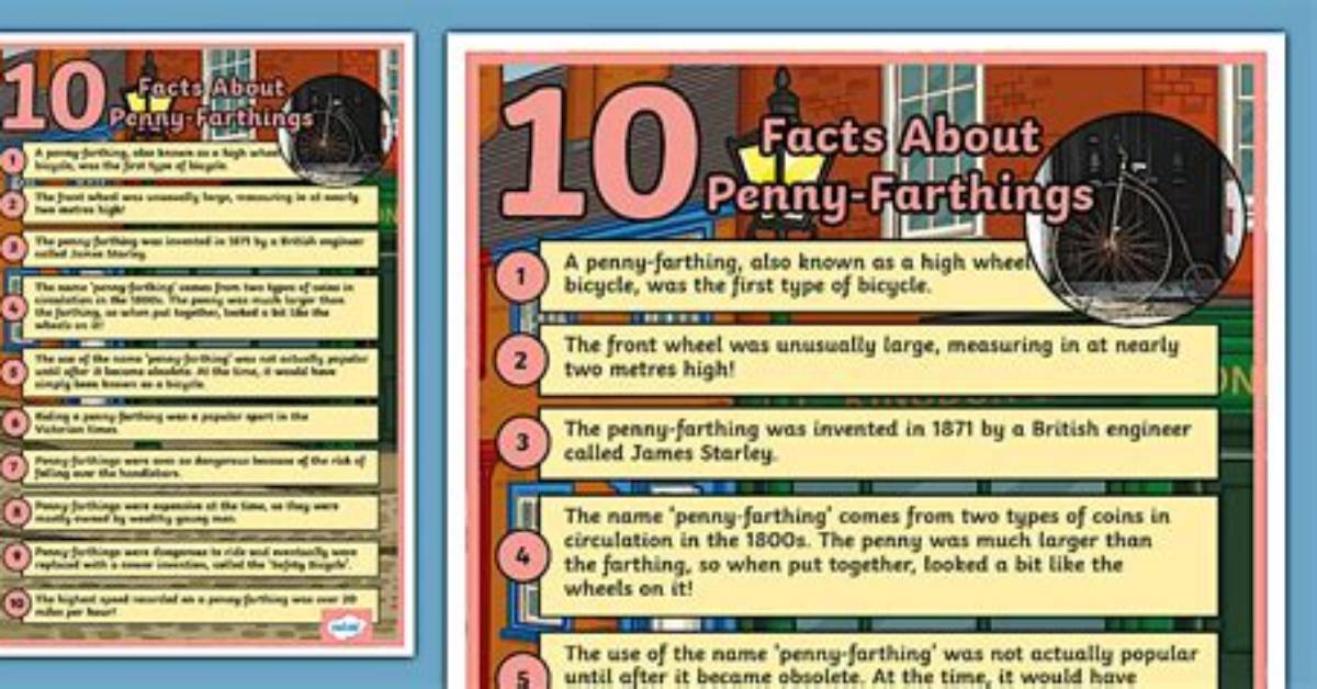Where Is Pen Farthing Now? Facts to Know About the Founder of Nowzad Dogs Charity