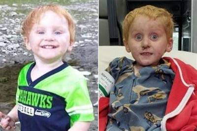 Where Is Ryker Webb Now? His Health Detailed